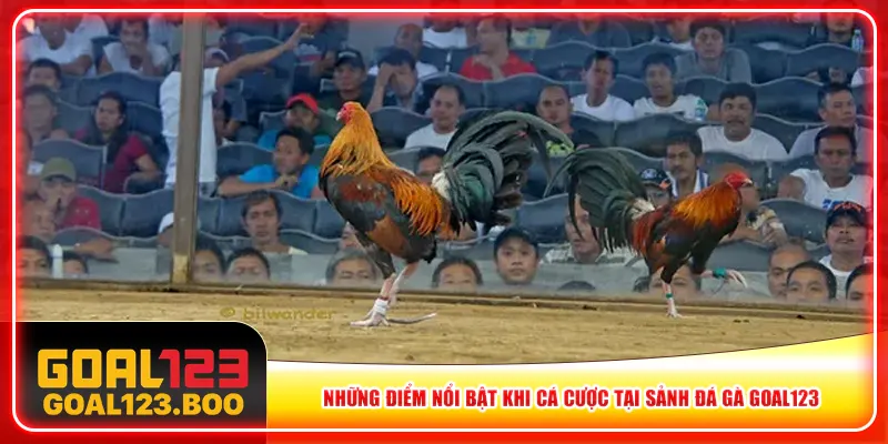 Những điểm nổi bật khi cá cược tại sảnh đá gà Goal123 Những điểm nổi bật khi cá cược tại sảnh đá gà Goal123